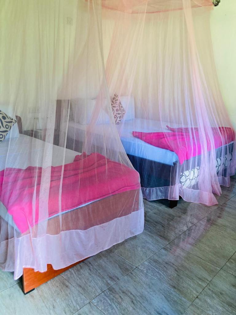 Bed and Breakfast Silent Nest à Ella Extérieur photo